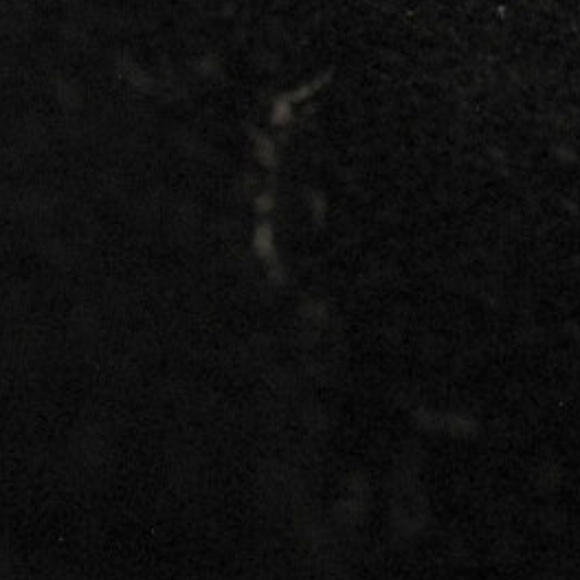 * Host Pick* Kate Spade Belleville Embroidered Floral Design Ankle Bootie - Picture 11 of 11